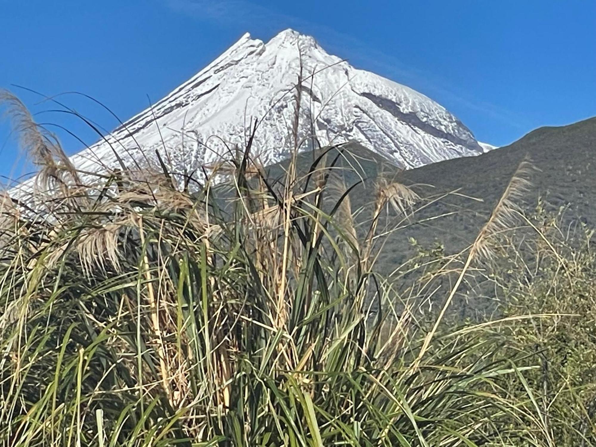 Mangorei Heights - New Plymouth Dış mekan fotoğraf
